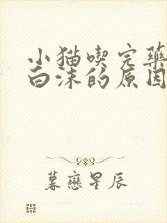 小猫吃完药口吐白沫的原因