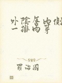 外阴唇内侧长了一排肉芽