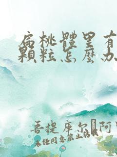 扁桃体里有白色颗粒怎么办