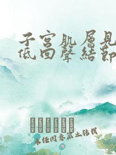 子宫肌层见多个低回声结节