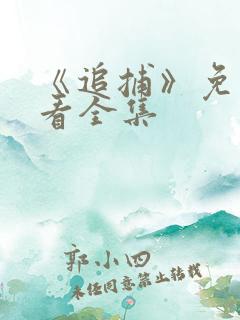 《追捕》免费观看全集