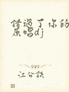 错过了你的温柔原唱dj