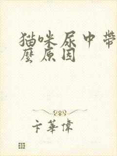 猫咪尿中带血什么原因