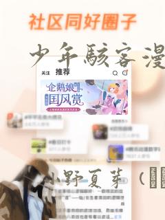 少年骇客漫画：结局+番外