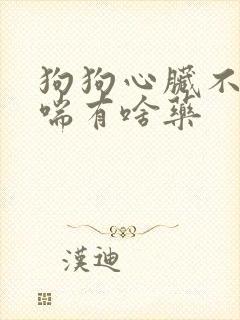 狗狗心脏不好老喘有啥药