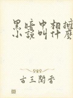 黑暗中相拥原著小说叫什么