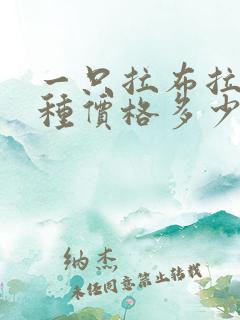 一只拉布拉多纯种价格多少钱