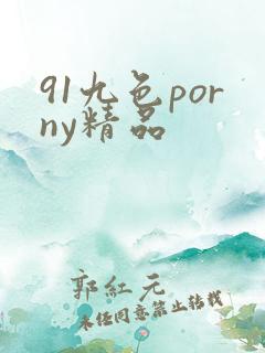 91九色porny精品