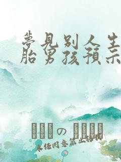 梦见别人生双胞胎男孩预示什么