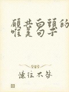 愿共白头的爱情唯美句子