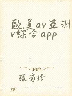 欧美av亚洲av综合app