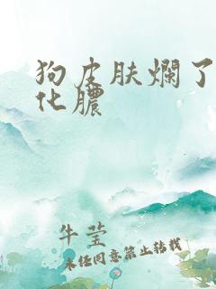 狗皮肤烂了发炎化脓