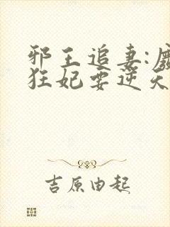 邪王追妻:废材狂妃要逆天