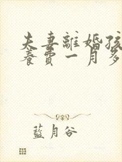 夫妻离婚孩子抚养费一月多少钱?