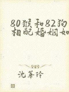 80猴和82狗相配婚姻如何