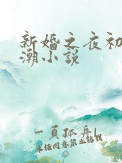 新婚之夜初尝高潮小说