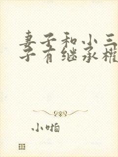 妻子和小三的孩子有继承权吗