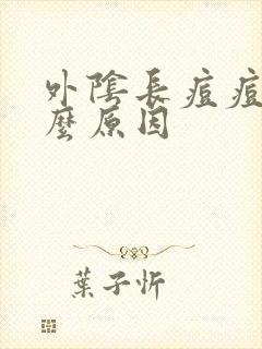 外阴长痘痘是什么原因