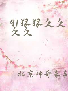 91狠狠久久久久久