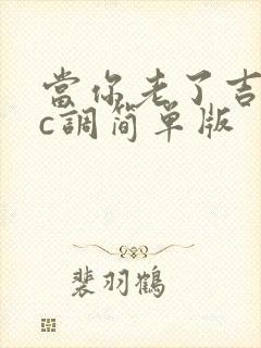 当你老了吉他谱c调简单版