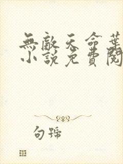 无敌天命叶天命小说免费阅读