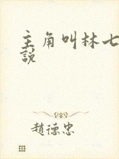 主角叫林七的小说
