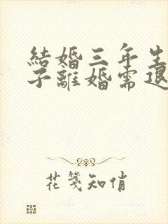 结婚三年生了孩子离婚需退彩礼没结婚证