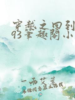 穿越之回到1993笔趣阁小说