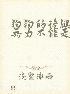 狗狗的后腿突然无力不能走路了