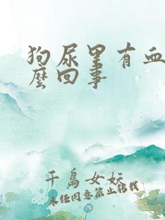 狗尿里有血是怎么回事