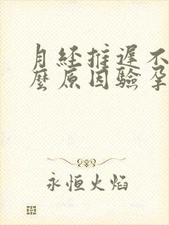 月经推迟不来什么原因验孕棒也没有怀孕