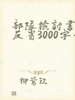 部队检讨书自我反省3000字站岗出问题