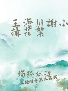 王沥川谢小秋拍摄花絮