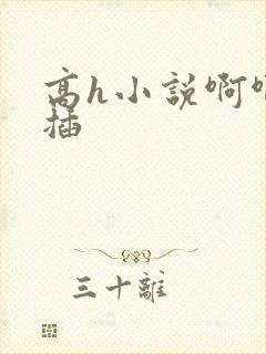 高h小说啊啊啊插