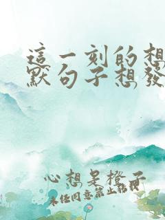 这一刻的想法幽默句子想发朋友圈