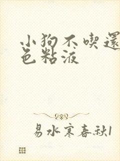 小狗不吃还吐白色粘液