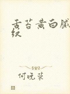 舌苔黄白腻有裂纹