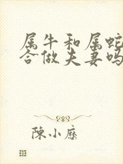 属牛和属蛇的适合做夫妻吗