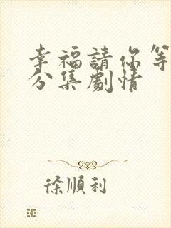 幸福请你等等我分集剧情