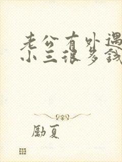 老公有外遇并给小三很多钱怎么办