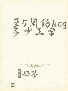 孕5周的hcg多少正常