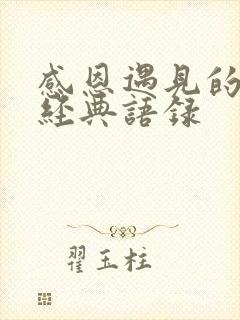 感恩遇见的句子经典语录