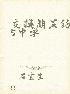 交换朋友的老婆5中字