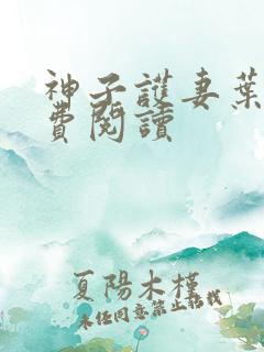 神子护妻叶玄免费阅读