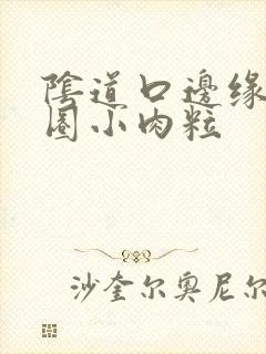 阴道口边缘有一圈小肉粒