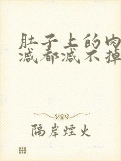 肚子上的肉怎么减都减不掉