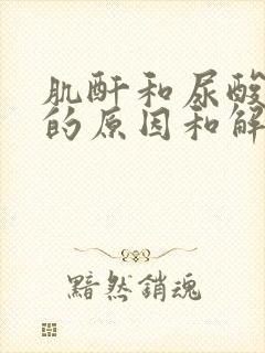 肌酐和尿酸偏高的原因和解决方法