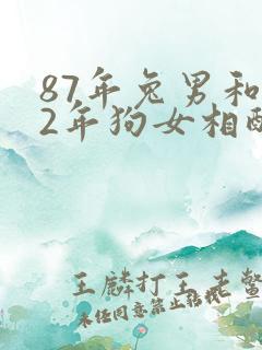 87年兔男和82年狗女相配婚姻如何