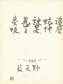 梦见被蛇追被蛇咬了是什么征兆