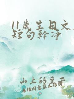 11岁生日文案短句干净